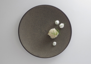 【コラム】vol.11 カリス「ロックグレー」